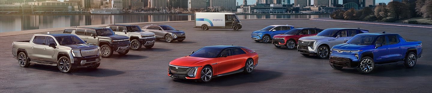 A lineup of various electric vehicles, including sedans, SUVs, and pickup trucks, with a cityscape background.