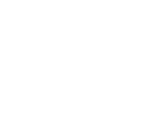 Outlined wheel icon with a detailed pattern of spokes.